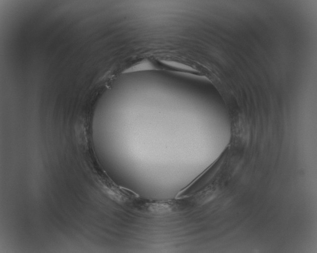 X0000067490572200604211702