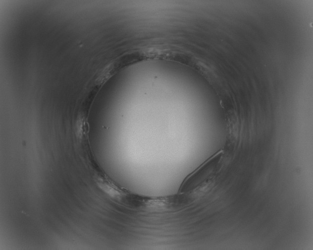 X0000067490574200604211702