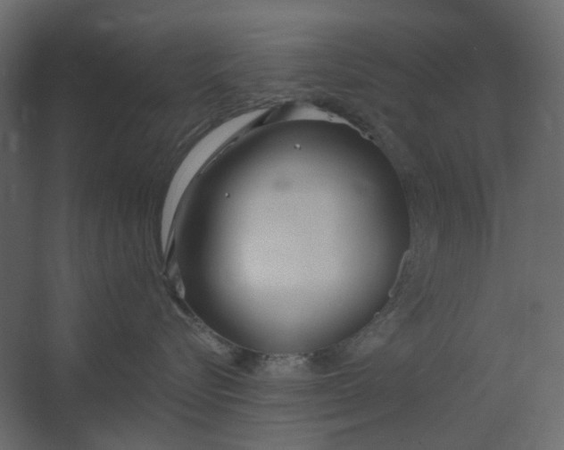X0000067490576200604211702