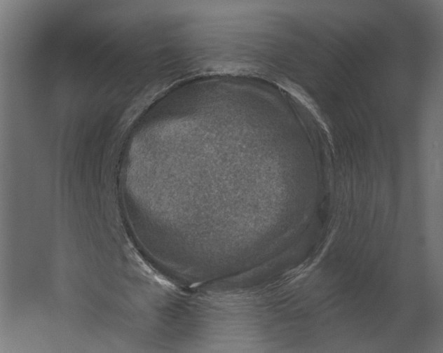 X0000067490577200604211701