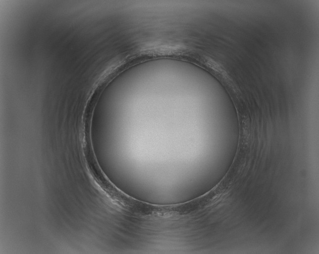 X0000067490582200604211701