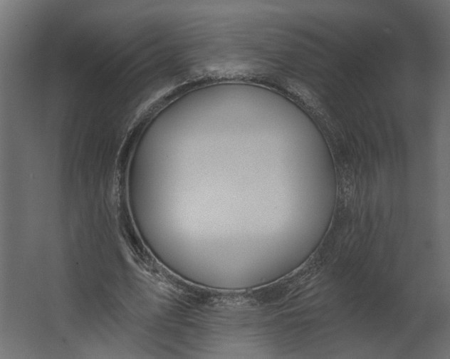 X0000067490583200604211701