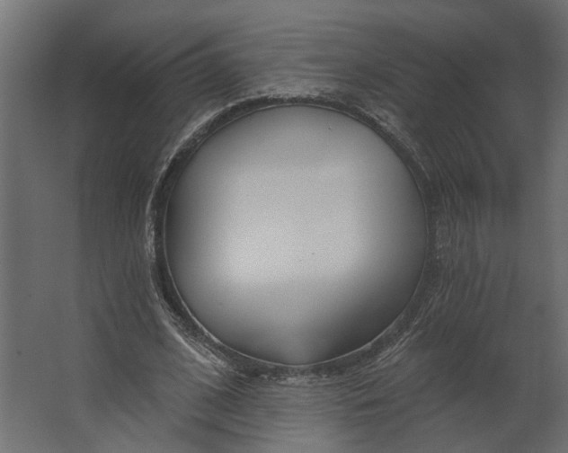 X0000067490584200604211701