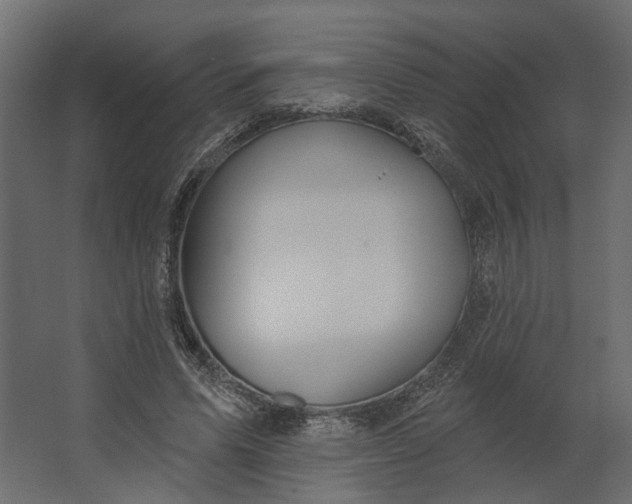 X0000067490591200604211701