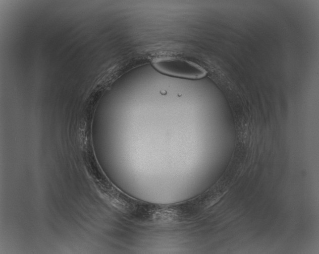 X0000067490599200604211701