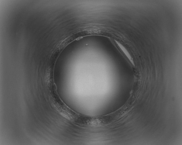 X0000067490600200604211701