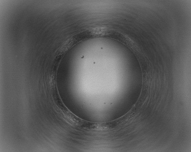 X0000067490601200604211701
