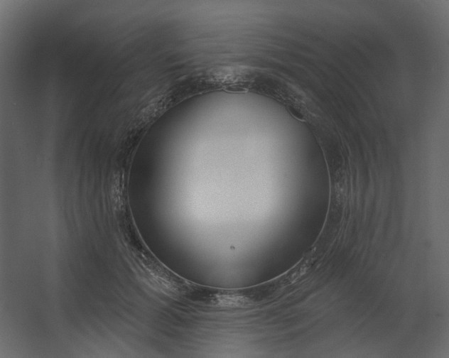 X0000067490605200604211701