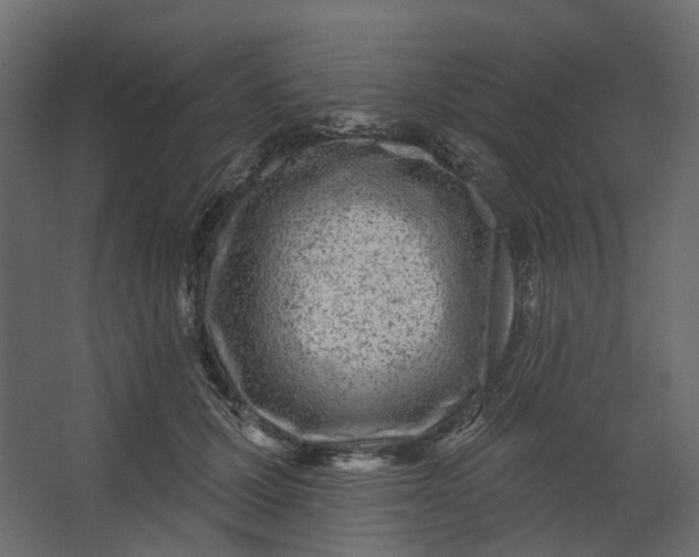 X0000067490607200604211701