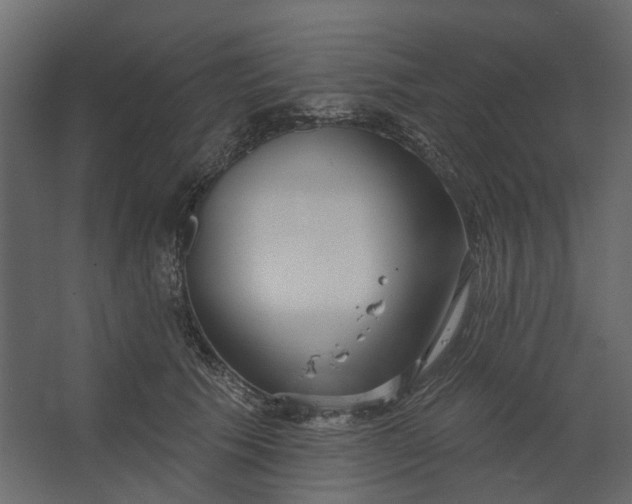 X0000067490609200604211701