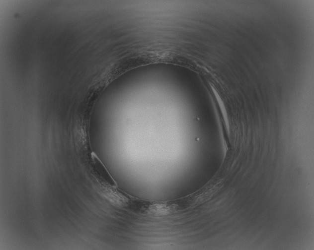 X0000067490613200604211701
