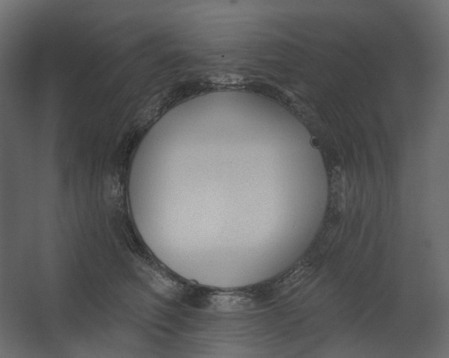 X0000067490614200604211701