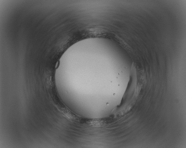 X0000067490615200604211701