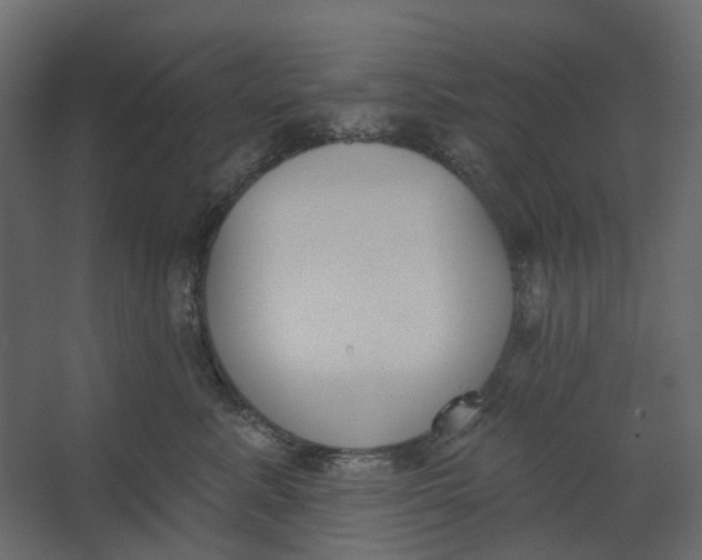 X0000067490619200604211700
