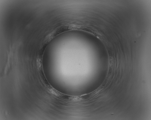 X0000067490621200604211700