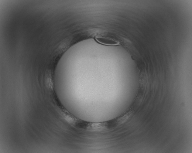 X0000067490622200604211700