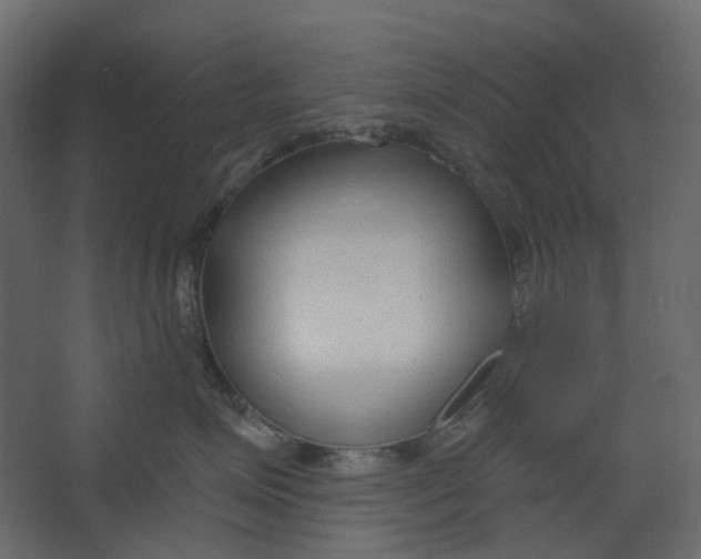 X0000067490623200604211700