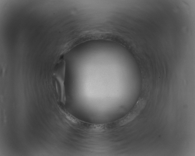 X0000067490624200604211700
