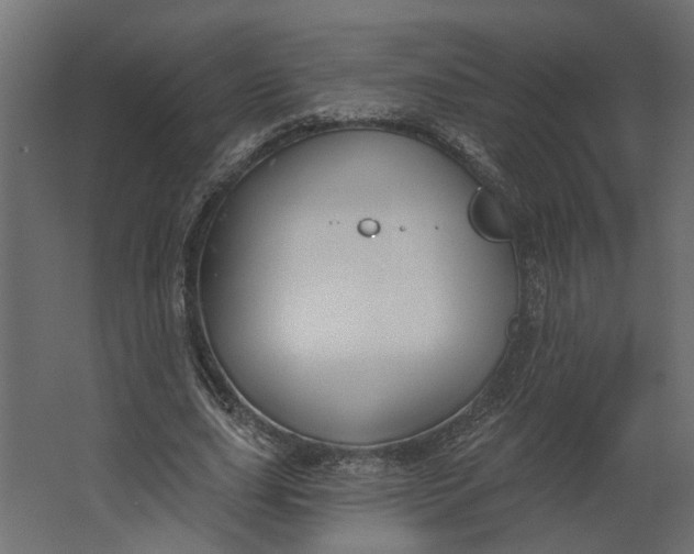 X0000067490631200604211700