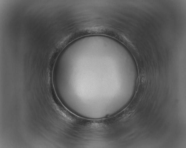 X0000067490637200604211700