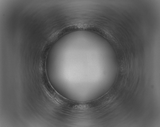 X0000067490639200604211700