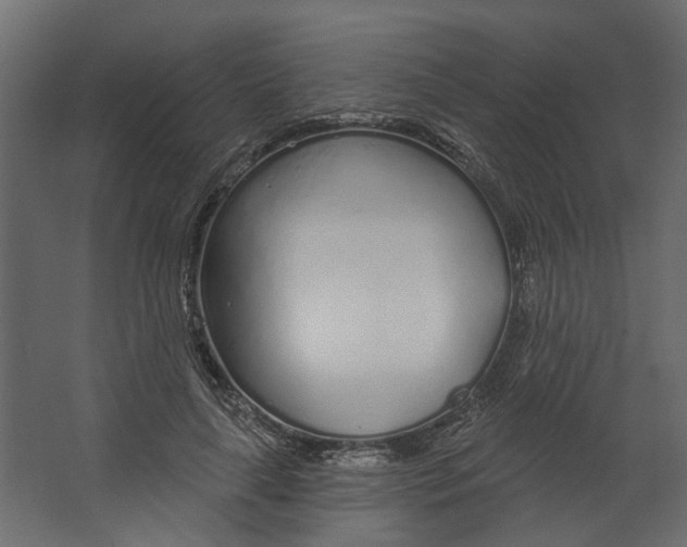 X0000067490643200604211700