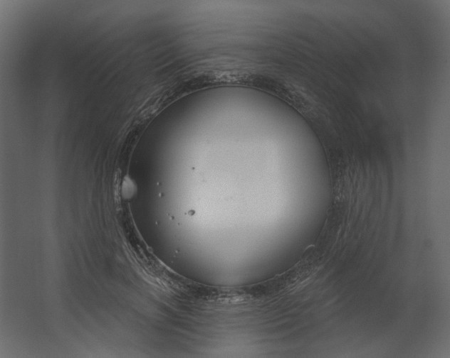 X0000067490646200604211700