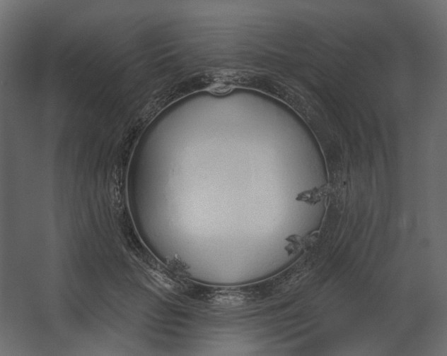 X0000067490653200604211700