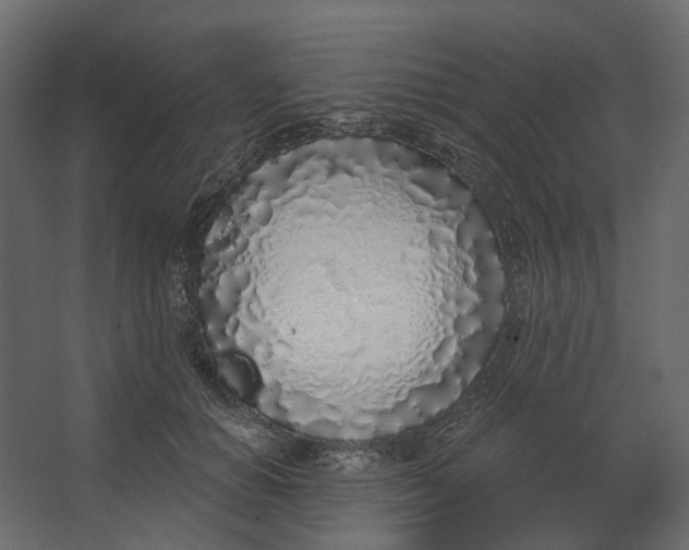 X0000067490654200604211700