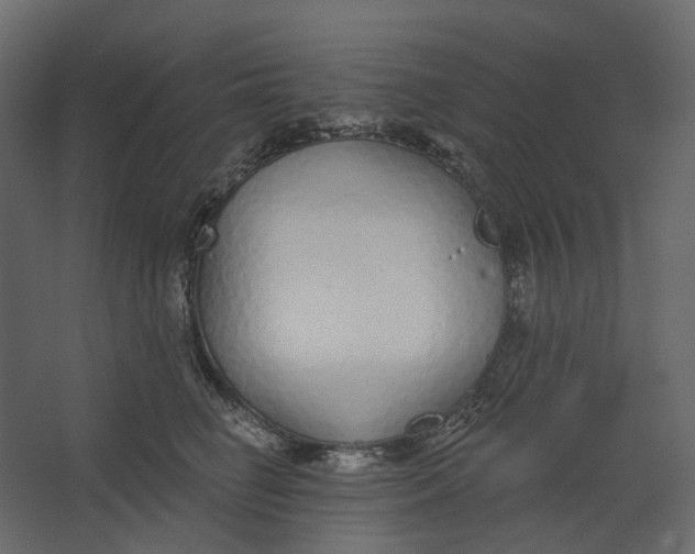 X0000067490662200604211700