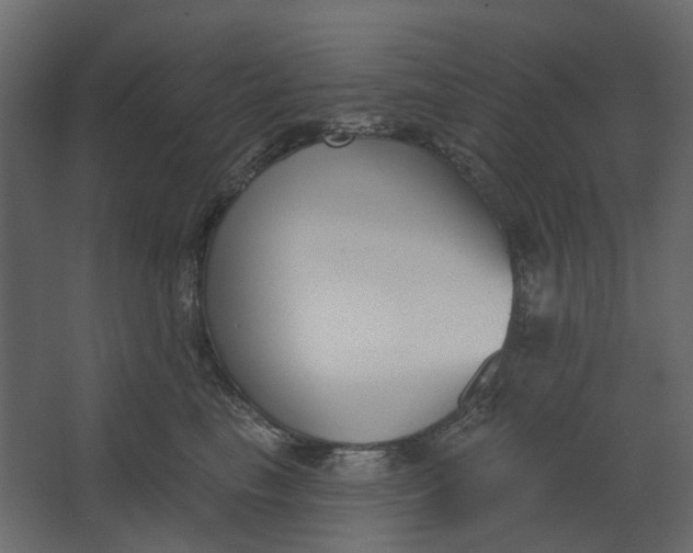 X0000067490665200604211700