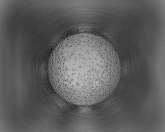 X0000067490667200604211700
