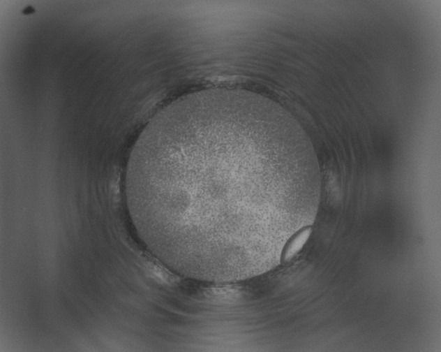 X0000067490668200604211700