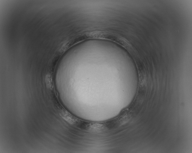 X0000067490669200604211700