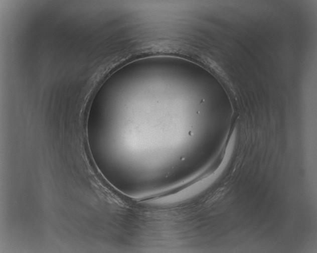 X0000067490673200604211700