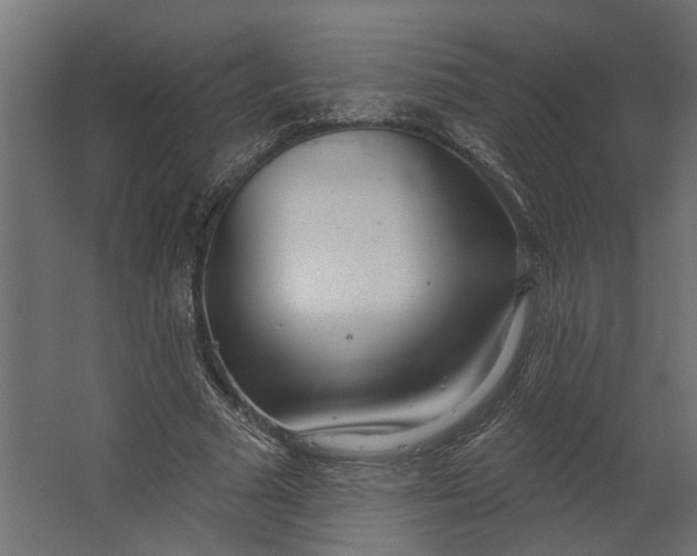 X0000067490681200604211659