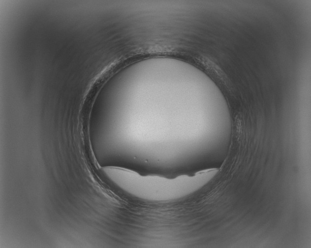 X0000067490684200604211659