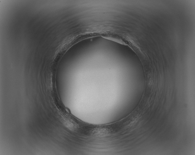X0000067490685200604211659