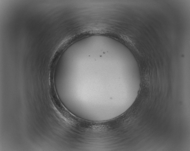 X0000067490686200604211659