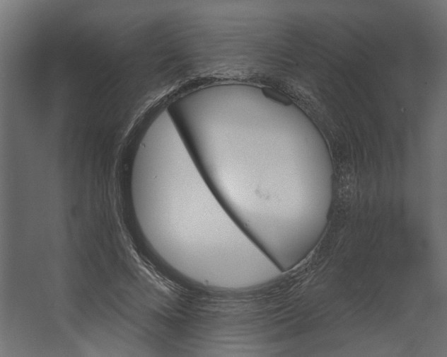 X0000067490688200604211659