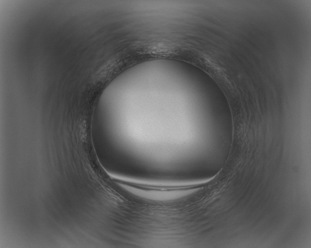 X0000067490689200604211659