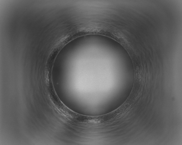 X0000067490692200604211659