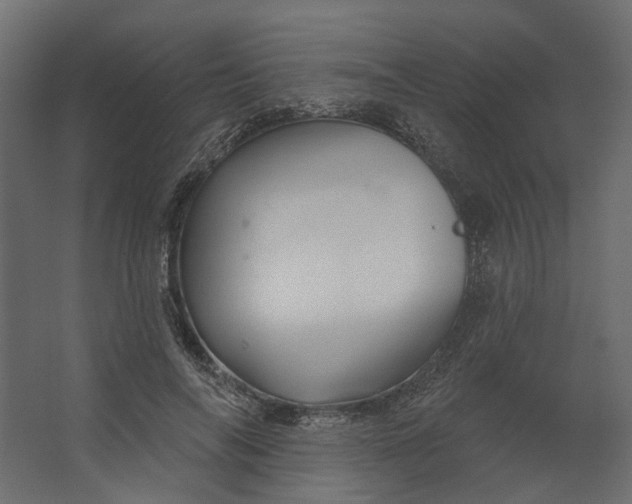 X0000067490694200604211659