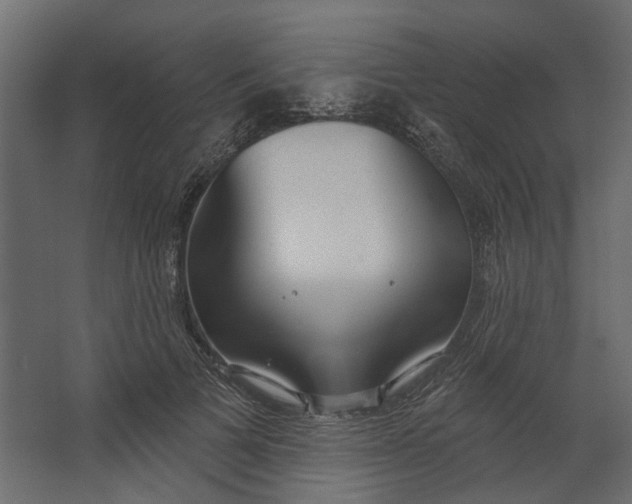 X0000067490697200604211659