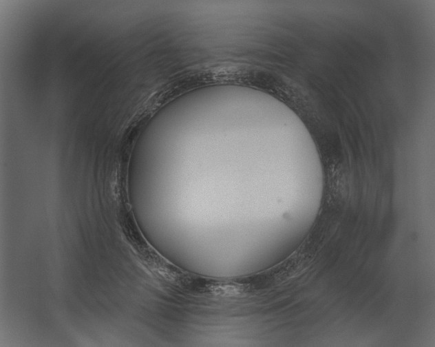 X0000067490698200604211659