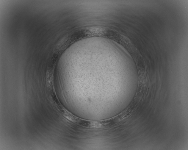 X0000067490701200604211659