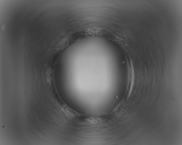 X0000067490712200604211659