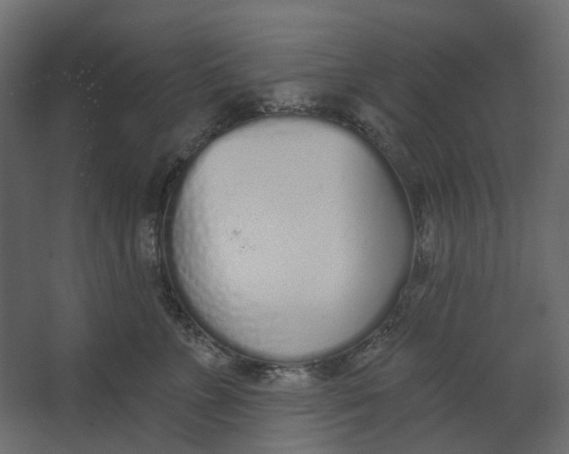 X0000067490715200604211659