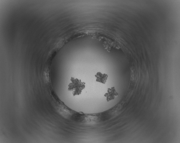 X0000067490718200604211659