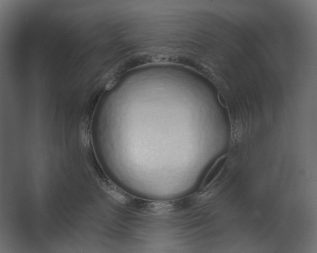 X0000067490719200604211659